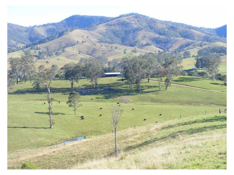 Schmidts Access Road Nulla Creek, Kempsey NSW 2440