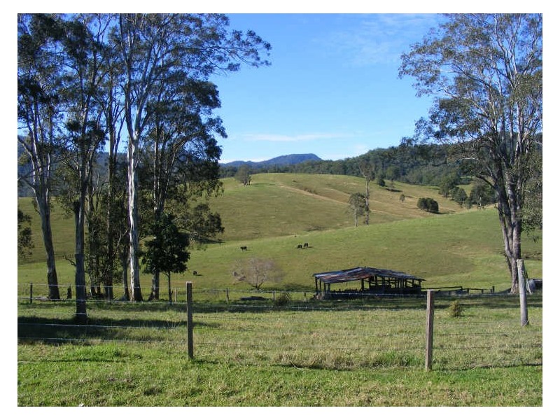 Schmidts Access Road Nulla Creek, Kempsey NSW 2440