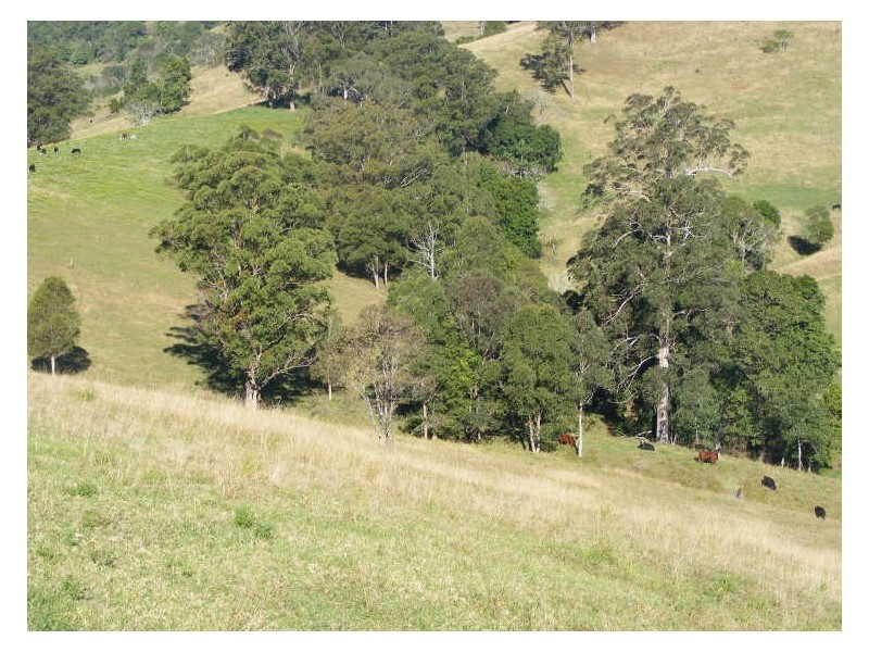 Schmidts Access Road Nulla Creek, Kempsey NSW 2440