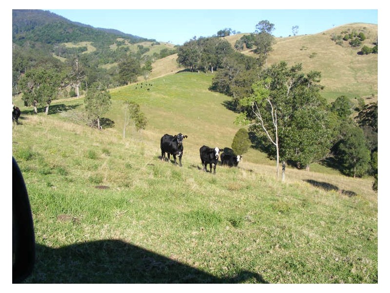 Schmidts Access Road Nulla Creek, Kempsey NSW 2440