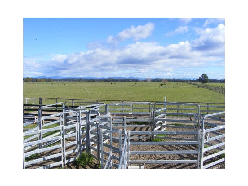 55-57 Sutherlands Lane, Bellimbopinni NSW 2440