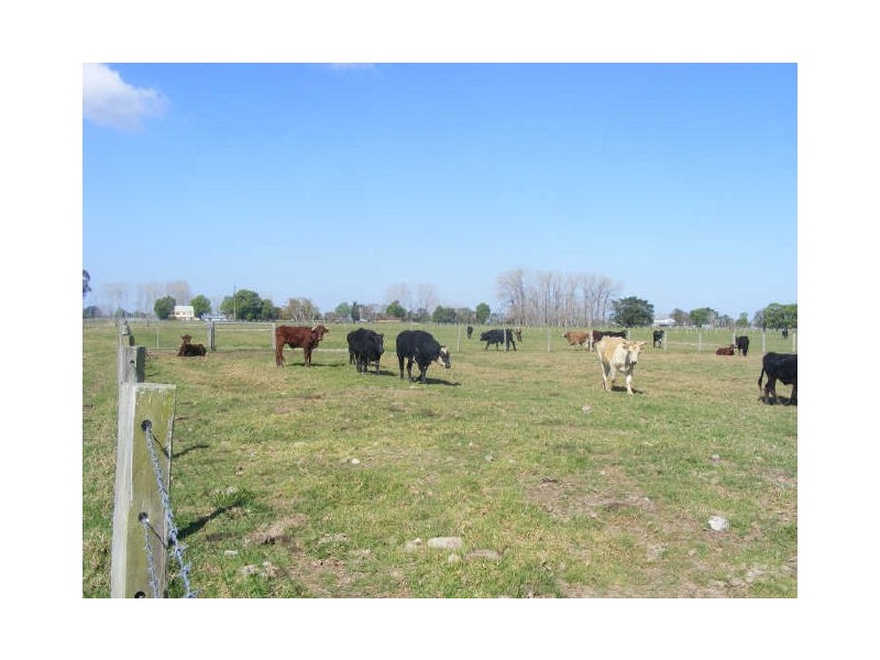 55-57 Sutherlands Lane, Bellimbopinni NSW 2440