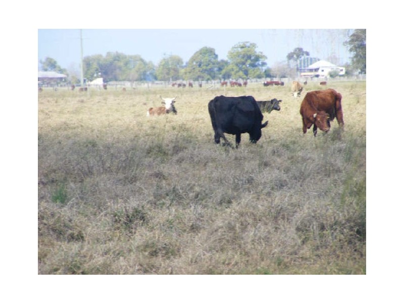 55-57 Sutherlands Lane, Bellimbopinni NSW 2440