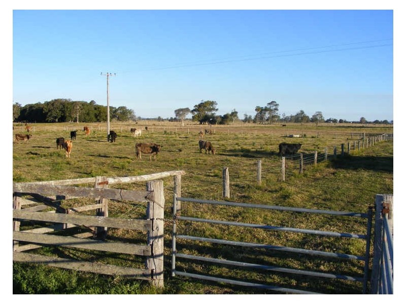 276 Plummers Lane, Clybucca NSW 2440