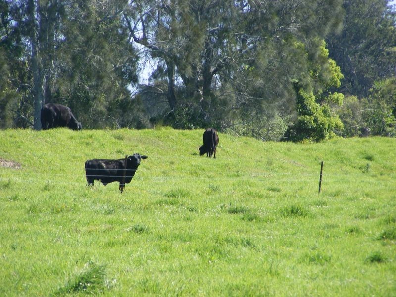 835 Summer Island Road, Summer Island NSW 2440