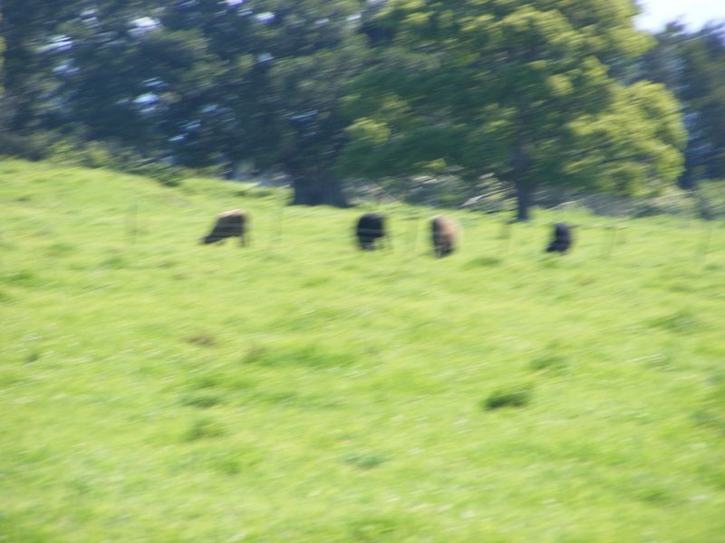 835 Summer Island Road, Summer Island NSW 2440