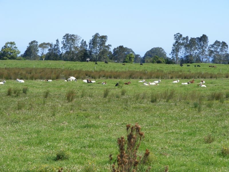 835 Summer Island Road, Summer Island NSW 2440