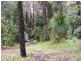 50 Palm Grove, Arakoon NSW 2431