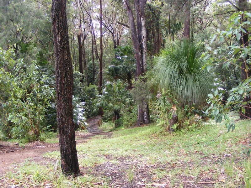 50 Palm Grove, Arakoon NSW 2431