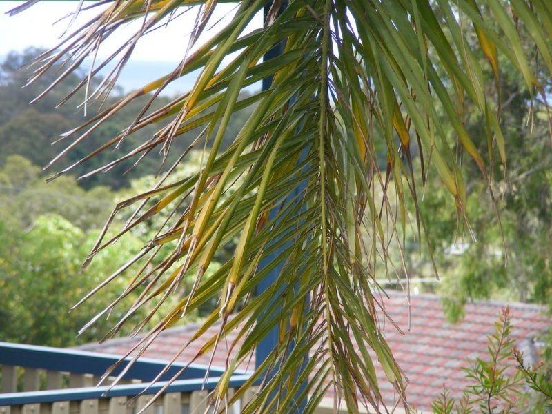 7 Eric Fittler Place, South West Rocks NSW 2431