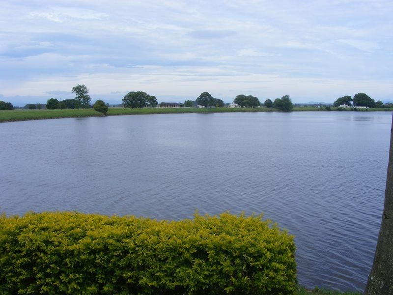 10 Kinchela Street, Gladstone NSW 2440