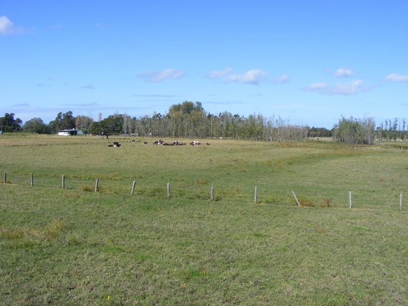 94 Left Bank Road, Kinchela NSW 2440