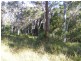 Lot 5 Gap Beach Road, Arakoon NSW 2431