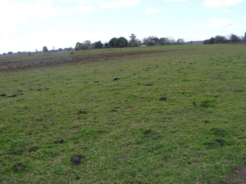 Lot 2 Left Bank Road, Kinchela NSW 2440