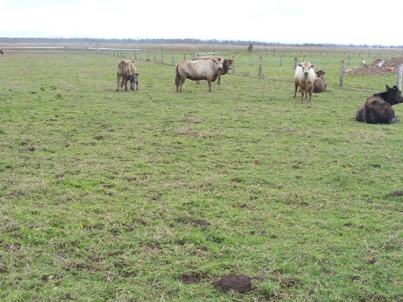 Lot 2 Left Bank Road, Kinchela NSW 2440