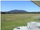 2856 South West Rocks Road, Jerseyville NSW 2431