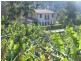 168 Rogers Lane, Yarrahapinni NSW 2441