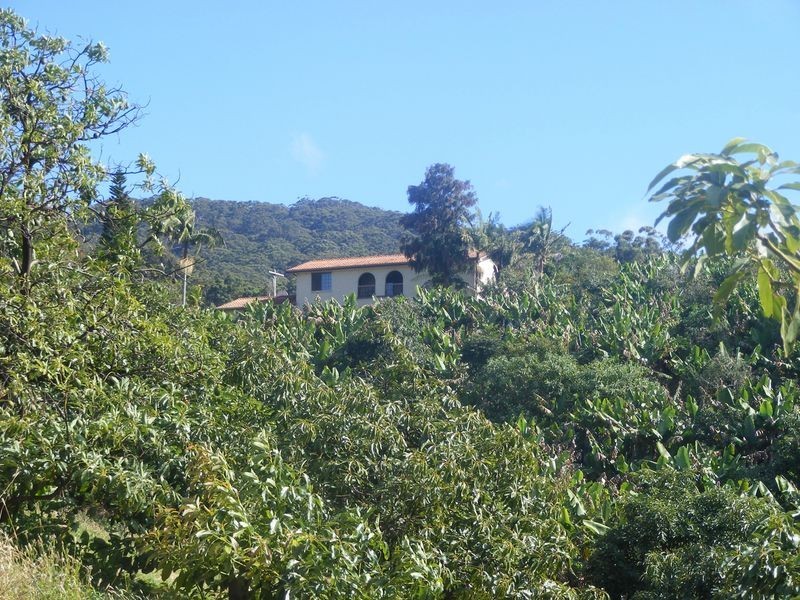 168 Rogers Lane, Yarrahapinni NSW 2441