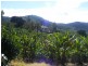 168 Rogers Lane, Yarrahapinni NSW 2441