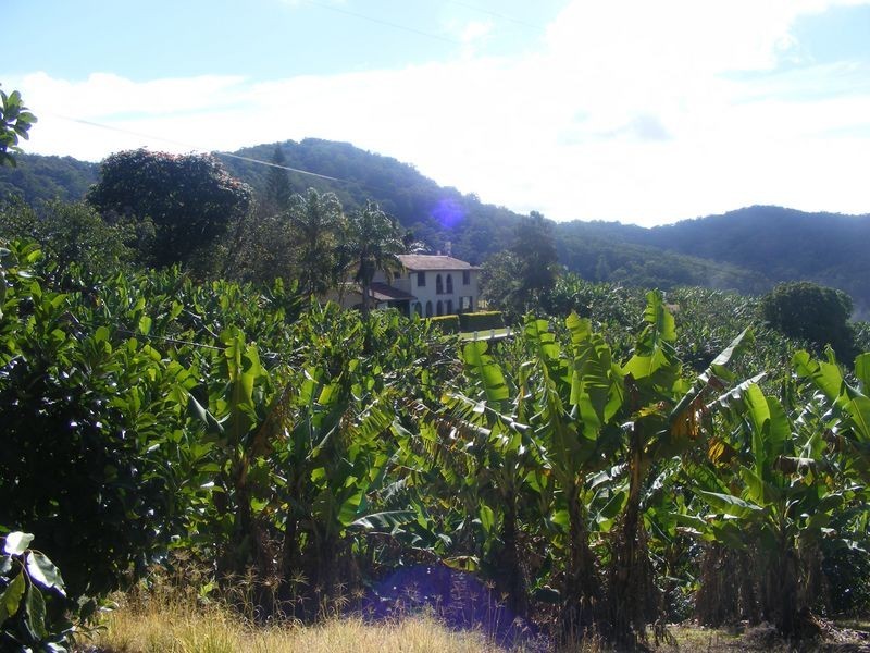168 Rogers Lane, Yarrahapinni NSW 2441