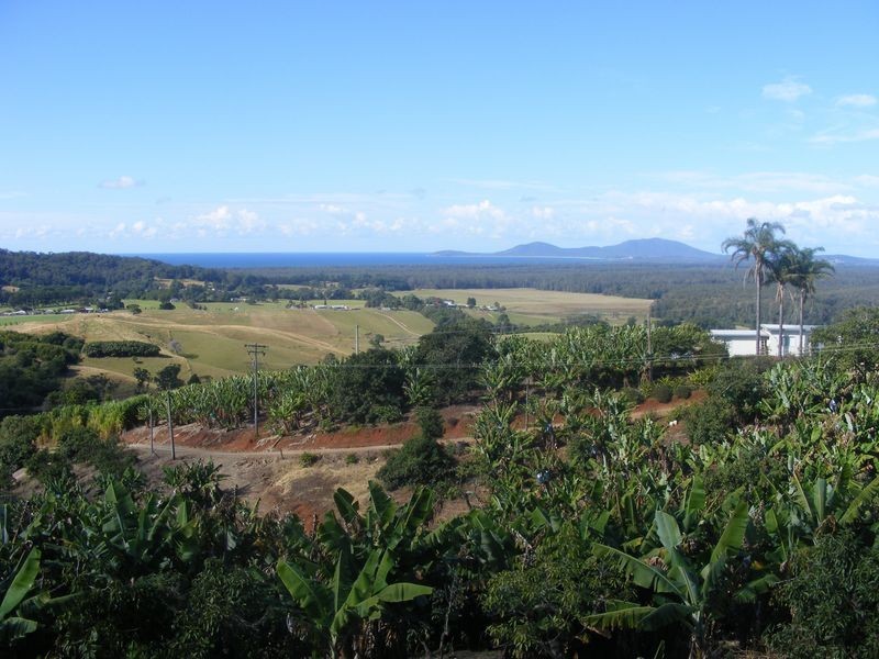 168 Rogers Lane, Yarrahapinni NSW 2441