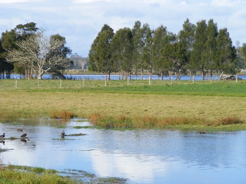 661 Plummers Lane, Clybucca NSW 2440