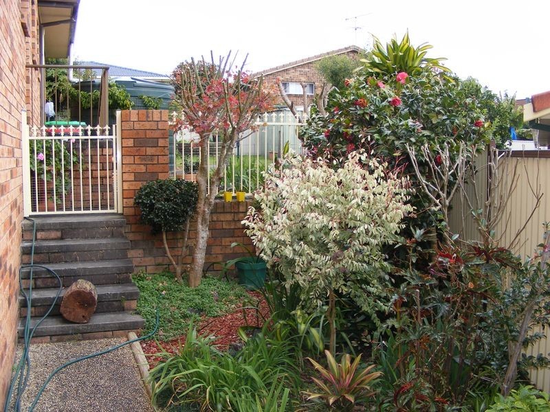 12 Palm Court, South West Rocks NSW 2431