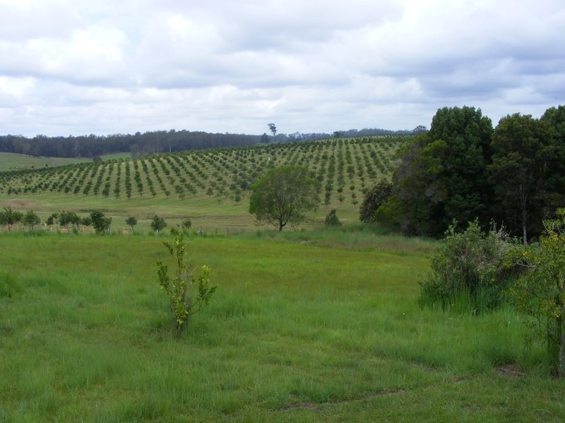 423 South Bank Road, Eungai Creek NSW 2441