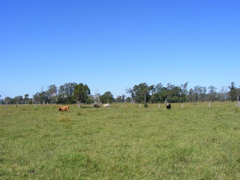 210 Menarcobrinni Lane, Clybucca NSW 2440