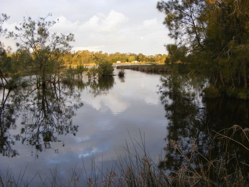 Lot 1 Boyters Lane, Jerseyville NSW 2431