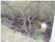 Lot 1 Boyters Lane, Jerseyville NSW 2431