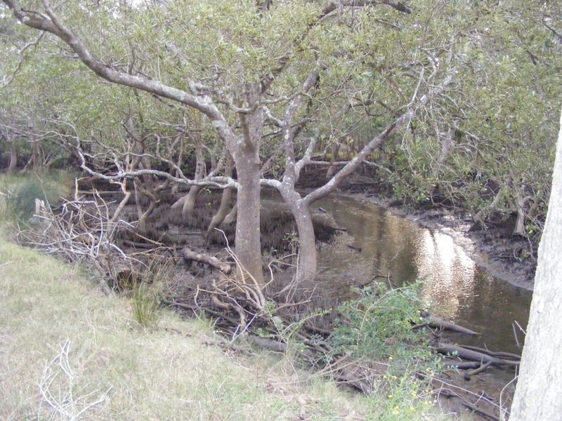 Lot 1 Boyters Lane, Jerseyville NSW 2431