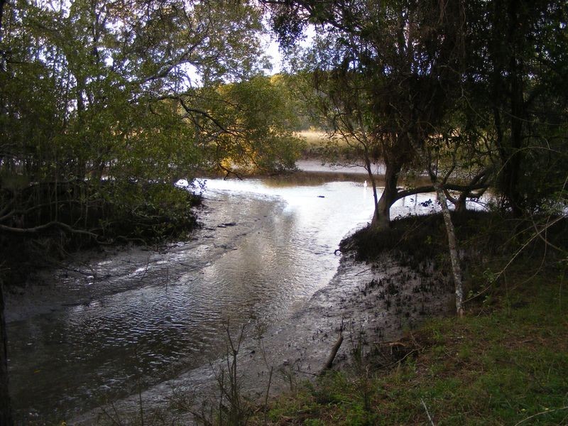Lot 1 Boyters Lane, Jerseyville NSW 2431