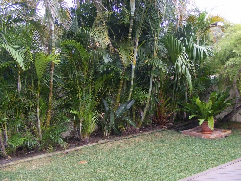 11 Wilfred Partridge Street, South West Rocks NSW 2431