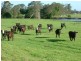 Clybucca NSW 2440
