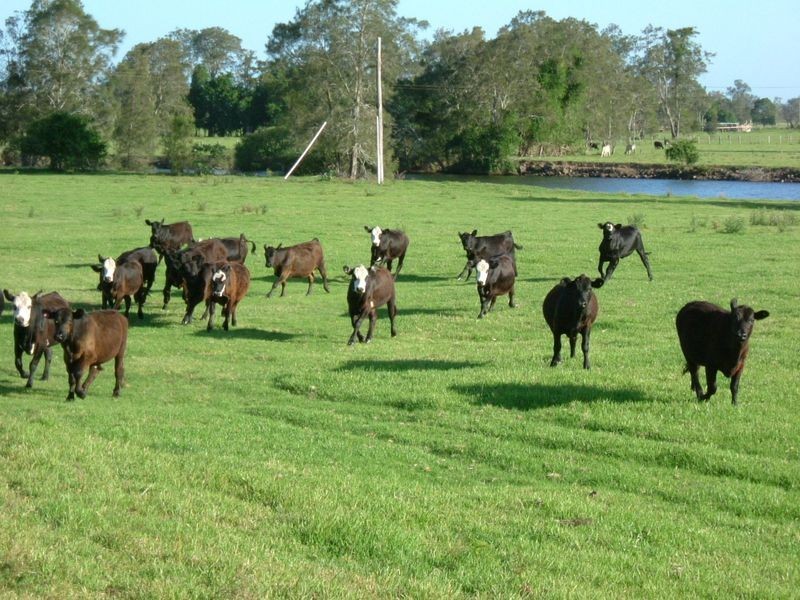 Clybucca NSW 2440
