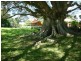 Clybucca NSW 2440
