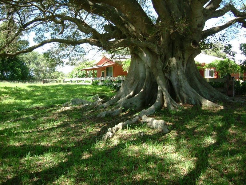 Clybucca NSW 2440