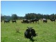 Clybucca NSW 2440