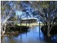714 Plummers Lane, South West Rocks NSW 2431