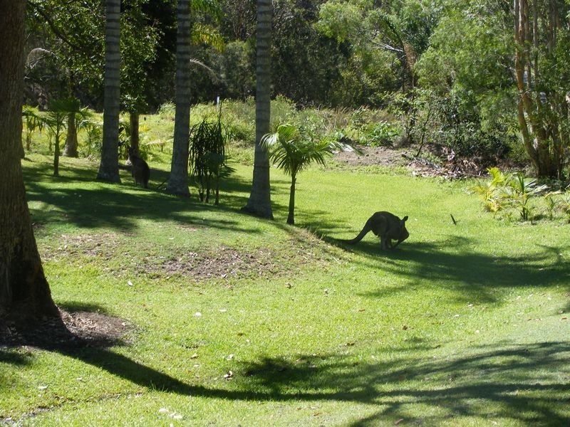 406 Arakoon Road, Arakoon NSW 2431