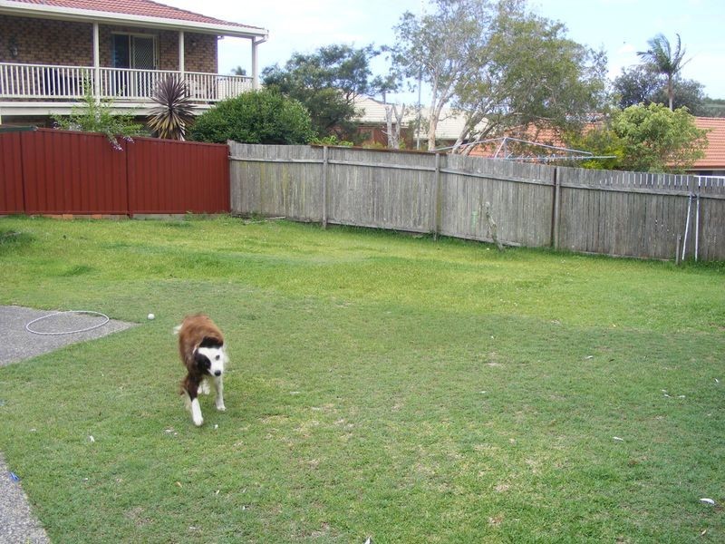 24 Currawong Cr, South West Rocks NSW 2431