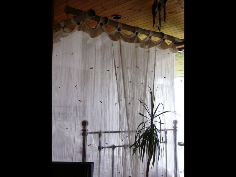 Lot 5 DP 754396 Freedom Island, South West Rocks NSW 2431