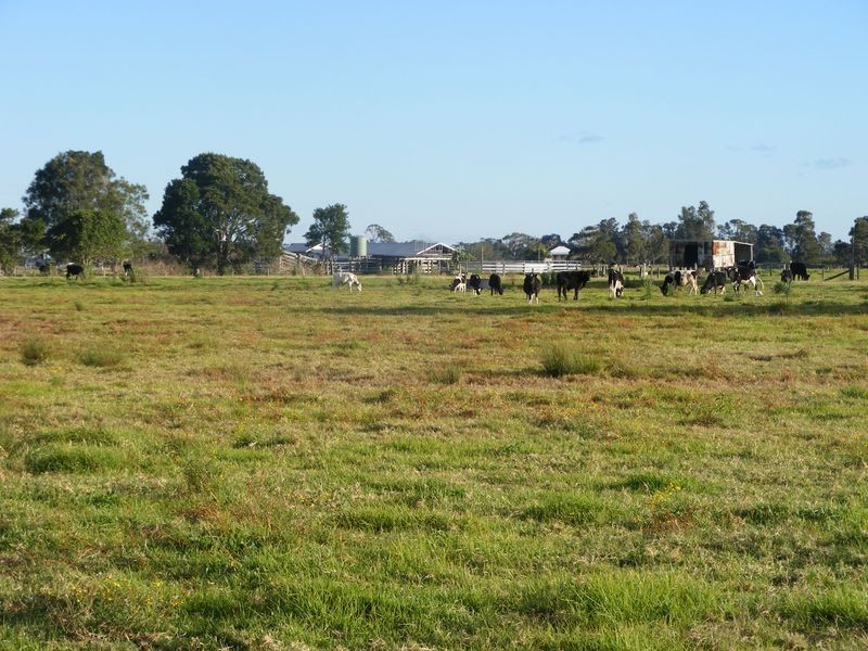 193 Boyters Lane, Jerseyville NSW 2431