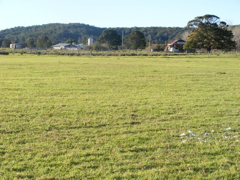 193 Boyters Lane, Jerseyville NSW 2431