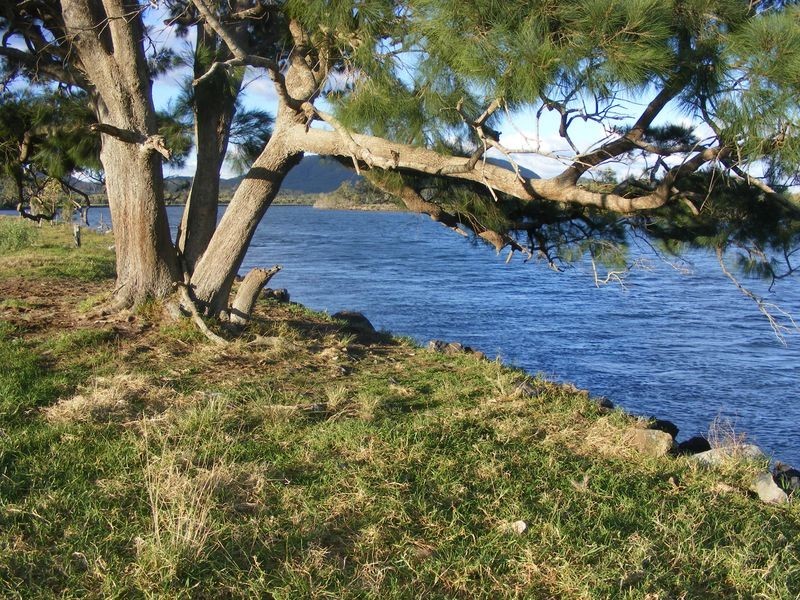 193 Boyters Lane, Jerseyville NSW 2431