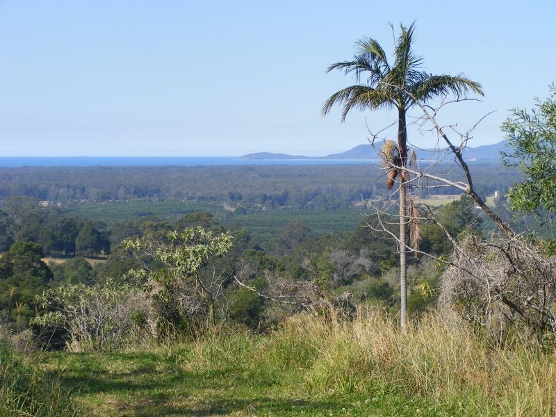 3/199 Hunters Road, Yarrahapinni NSW 2441