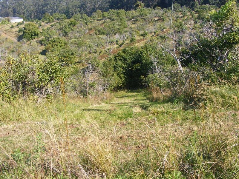 3/199 Hunters Road, Yarrahapinni NSW 2441