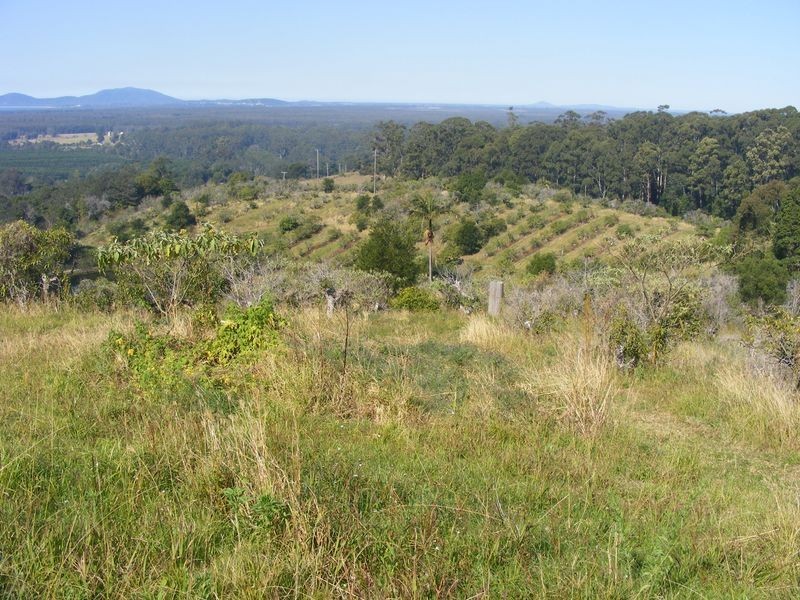 3/199 Hunters Road, Yarrahapinni NSW 2441