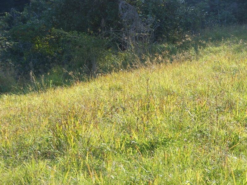 3/199 Hunters Road, Yarrahapinni NSW 2441